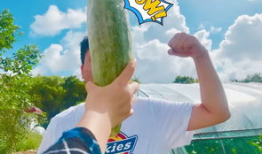 揭秘网红爆料吃瓜,吃瓜群众的狂欢与真相