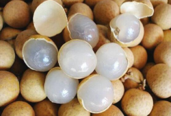 全国各地吃瓜爆料,各地吃瓜爆料大汇总